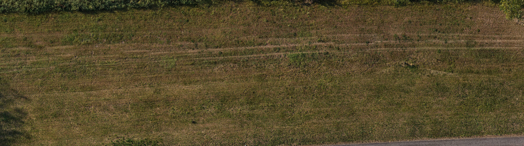 Orthomosaic strip of a mown dike slope and its maintenance path near Doeveren, Noord-Brabant, at 5 cm per pixel.